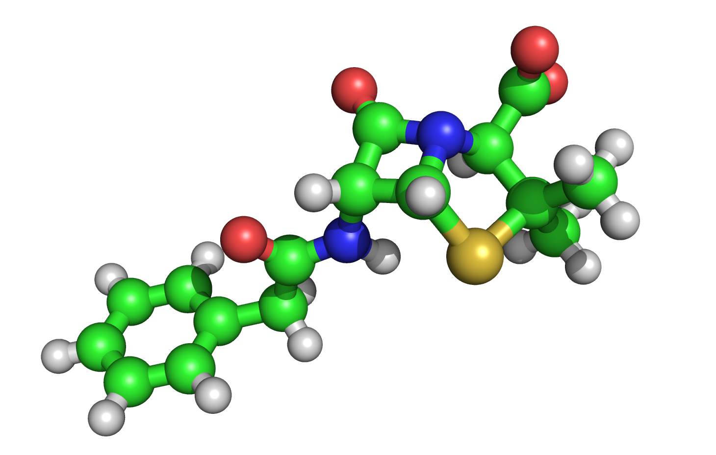 Gohalfsies Protein Biochemistry The Main Differences In The 